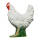 IBB 3D Hen - white