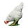 IBB 3D Hen - white - pecking