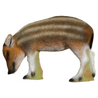 SRT Young Boar - Feeding