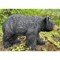 FRANZBOGEN - Honey Bear Running