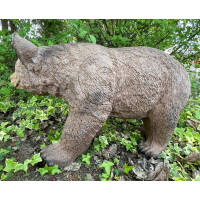 FRANZBOGEN - Honey Bear Running