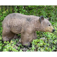 FRANZBOGEN - Honey Bear Running