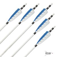 Complete Arrow | BSW Arktik - Wood