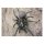 STRONGHOLD Animal Target Face - Spider - 30 x 42 cm - hydrophobic / tear-resistant