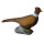 LEITOLD Pheasant