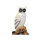 LEITOLD Snow Owl