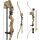 EVANS Wind Fire - Recurve Bow Set - 20 lbs